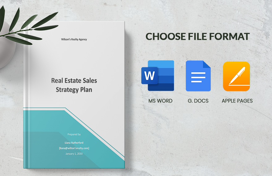 Real Estate Sales Strategy Plan Template
