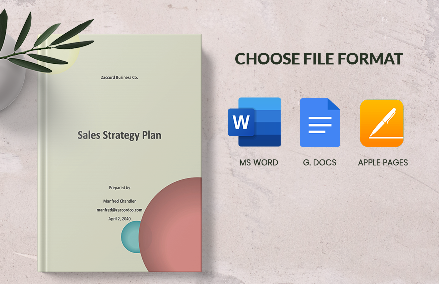 Sales Strategy Plan Template