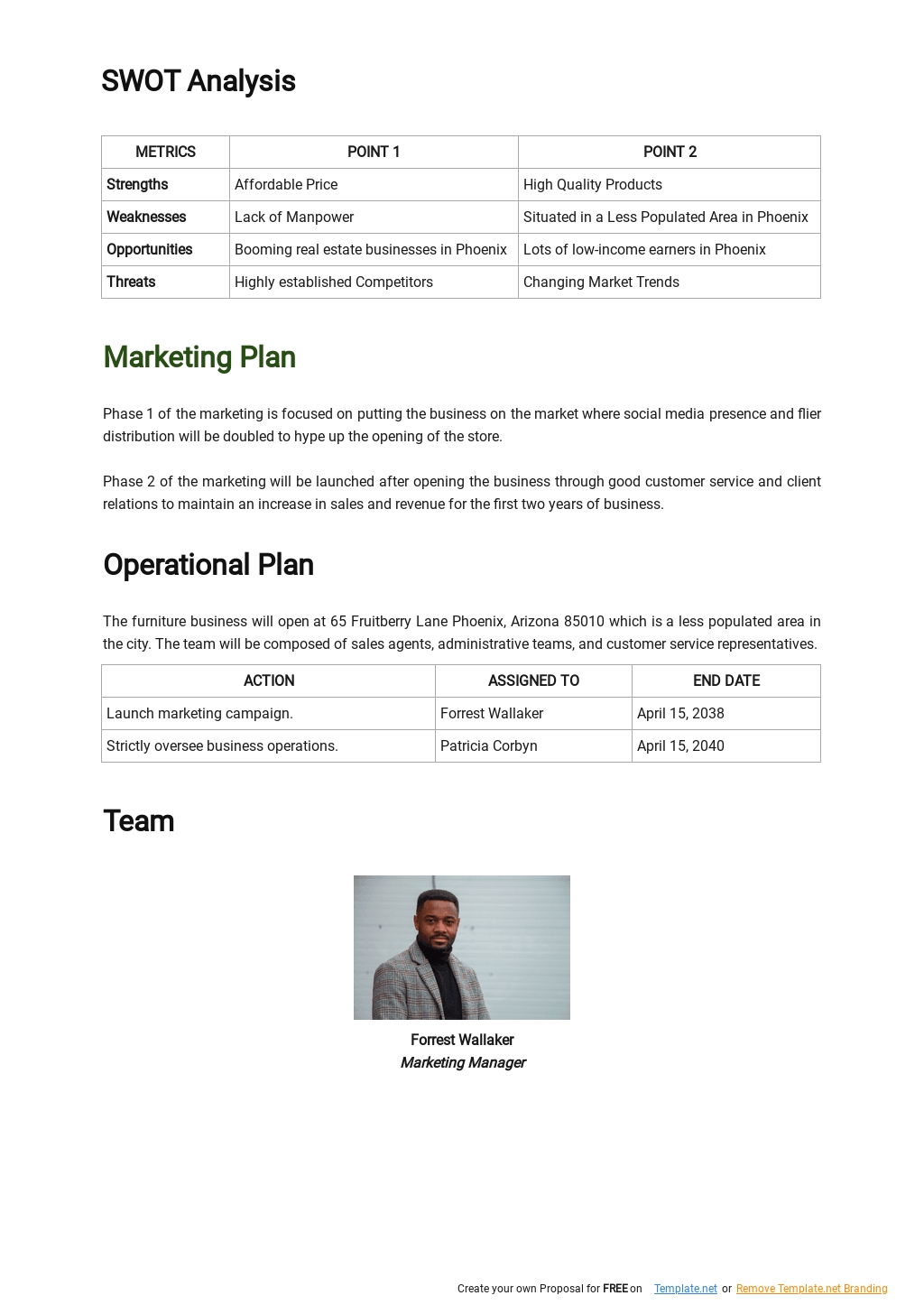 Sales Strategy Business Plan Template 2.jpe