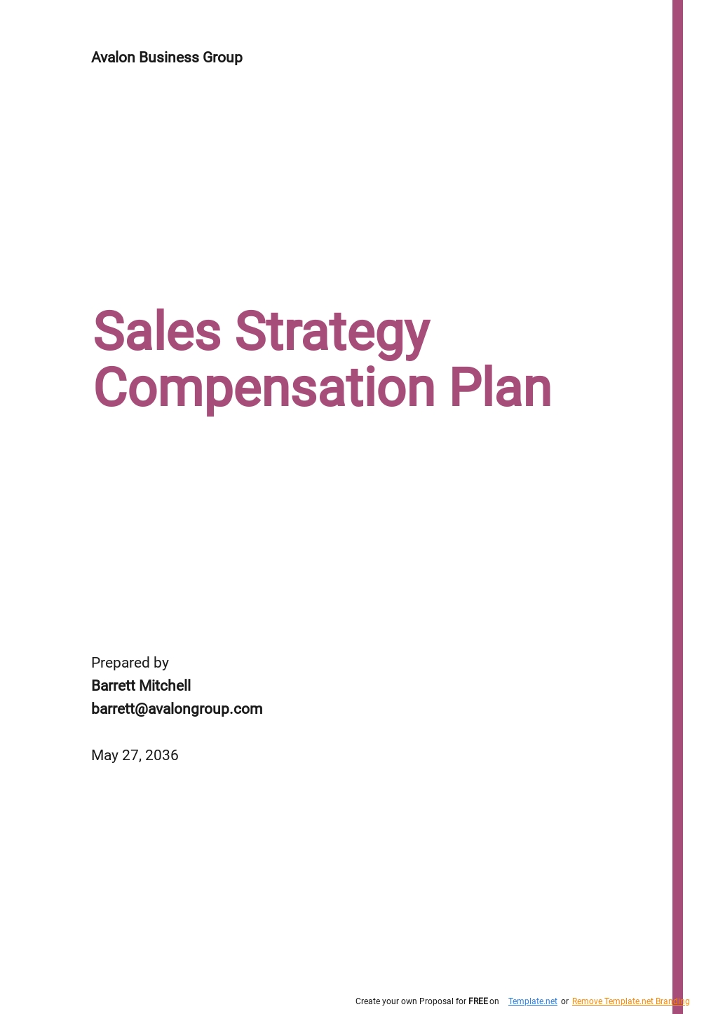 Sales Strategy Compensation Plan Template.jpe