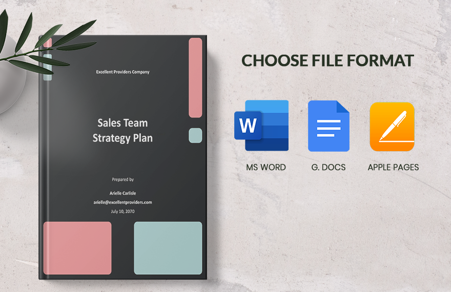 Sales Team Strategy Plan Template