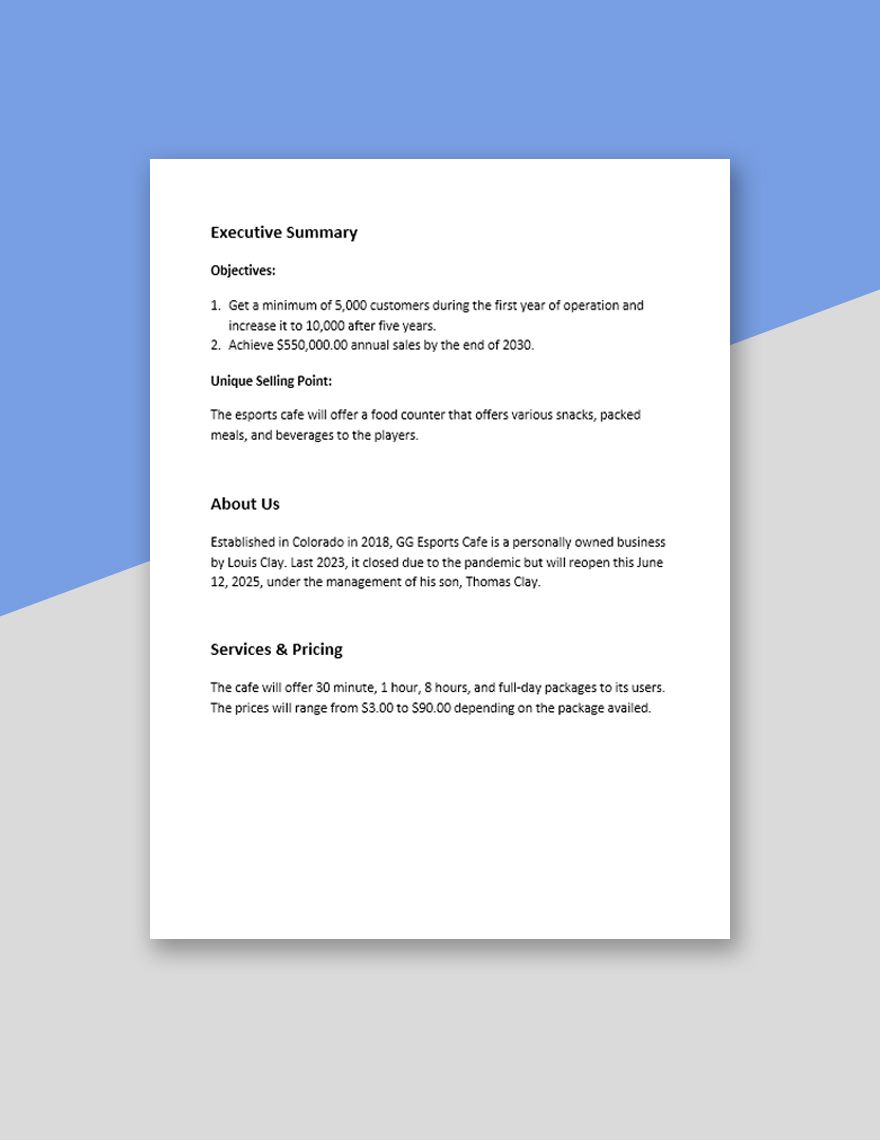 5 Year Personal Business Plan Template