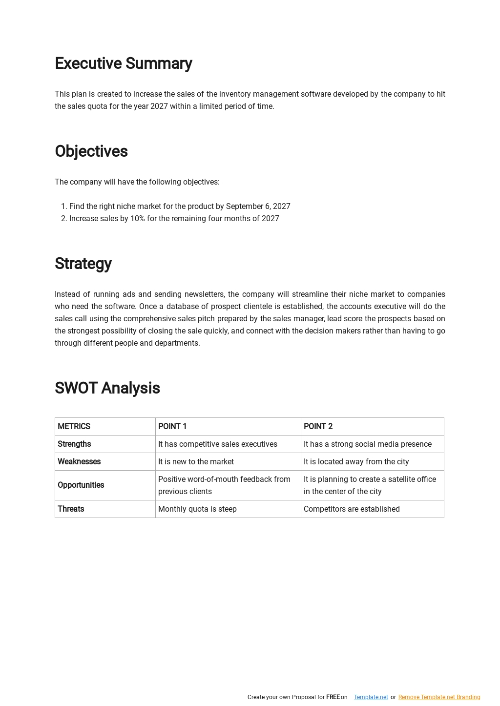 Software Sales Strategy Plan Template in Google Docs, Word | Template.net