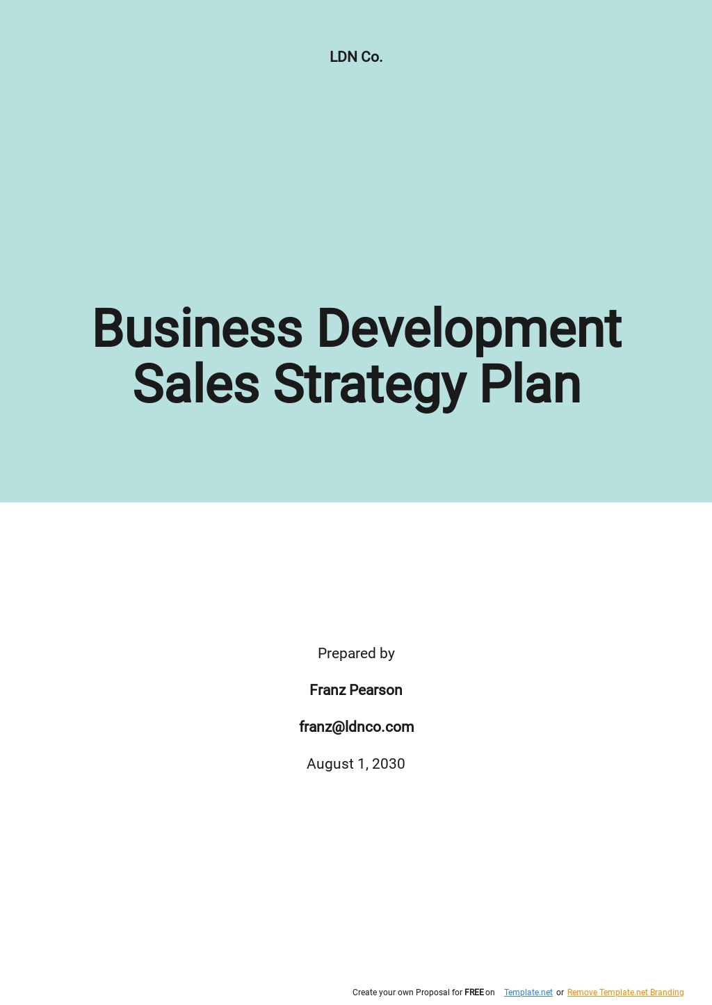 Business Development Sales Strategy Plan Template
