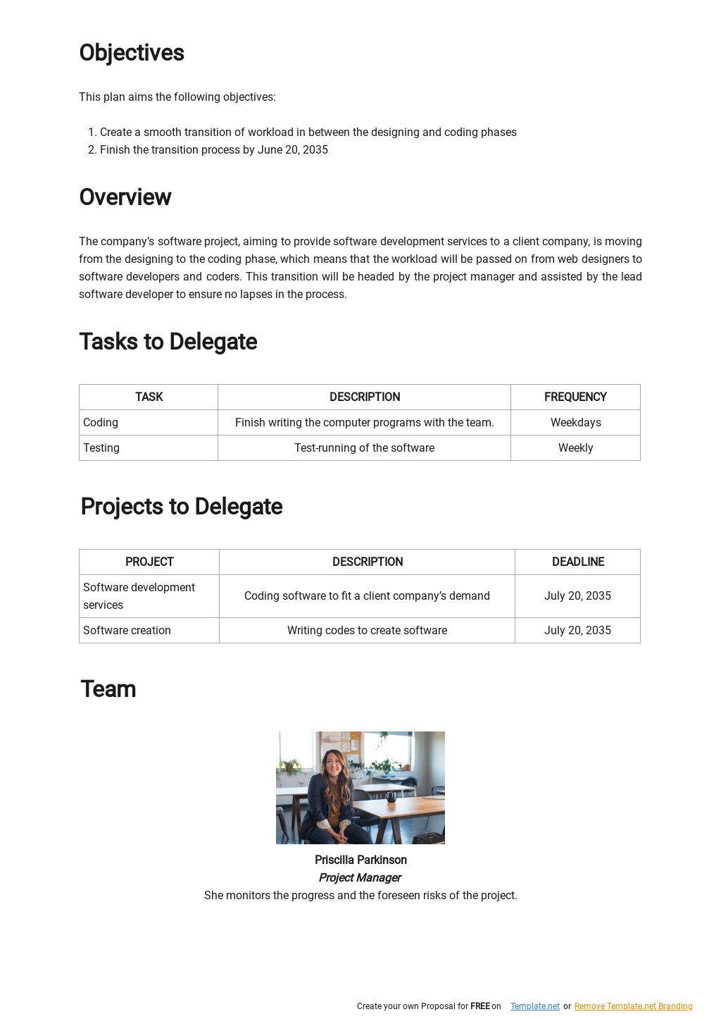 Software Project Transition Plan Template - Google Docs, Word, Apple ...