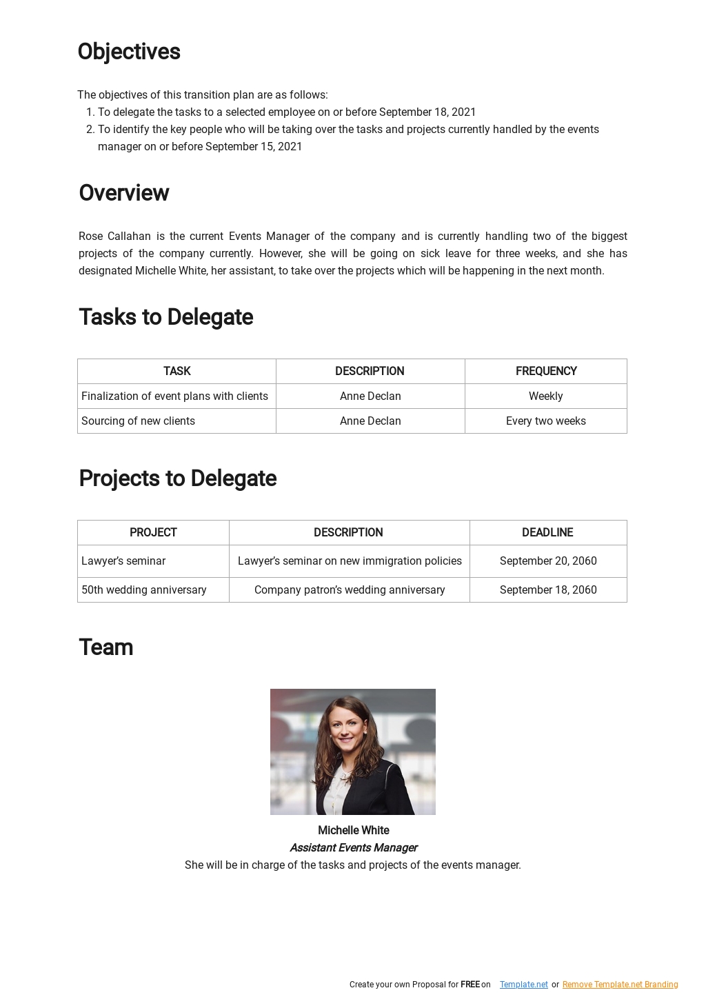 Project Management Transition Plan Template  1.jpe