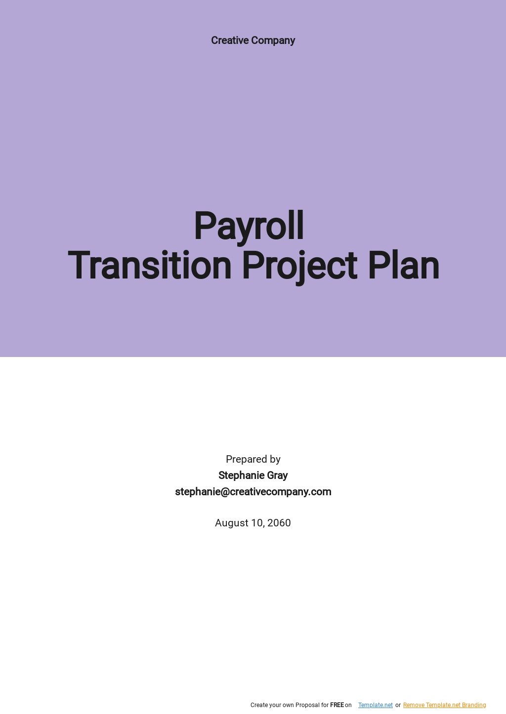 Payroll Transition Project Plan Template