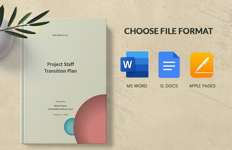 Project Staff Transition Plan Template