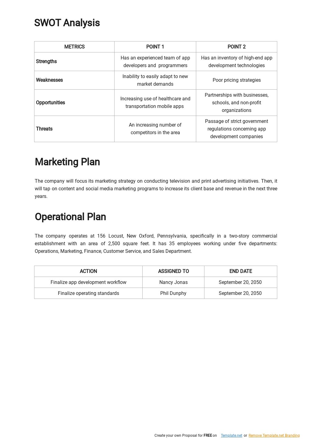App Development Business Plan Template 2.jpe