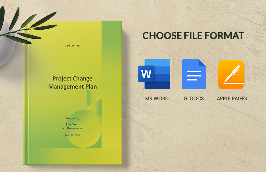 Simple Project Change Management Plan Template