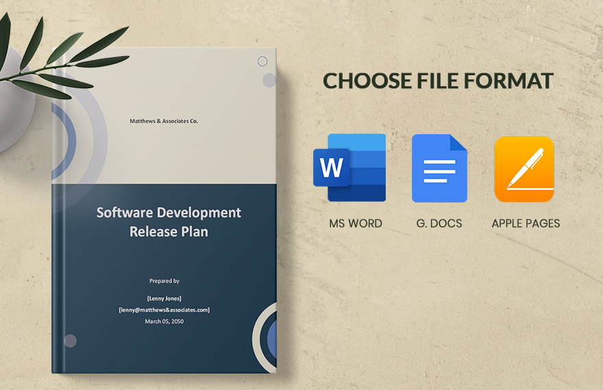 Software Development Release Plan Template
