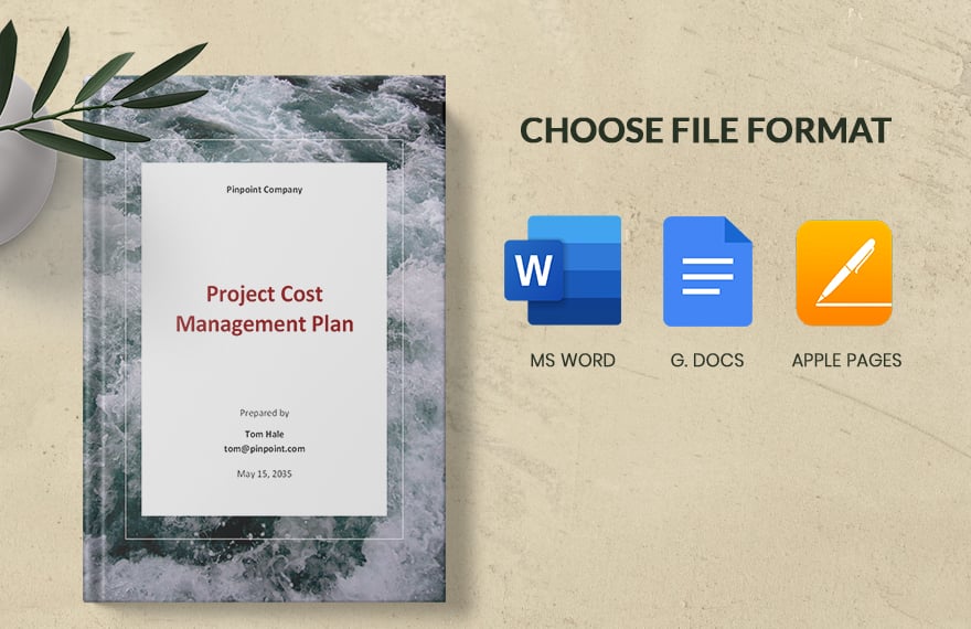 Simple Project Cost Management Plan Template