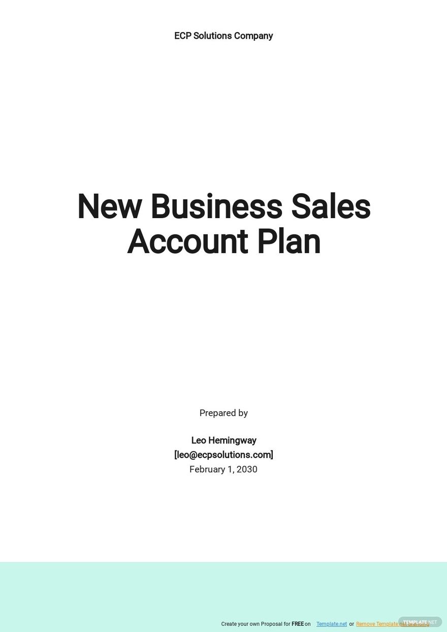 New Business Sales Account Plan Template
