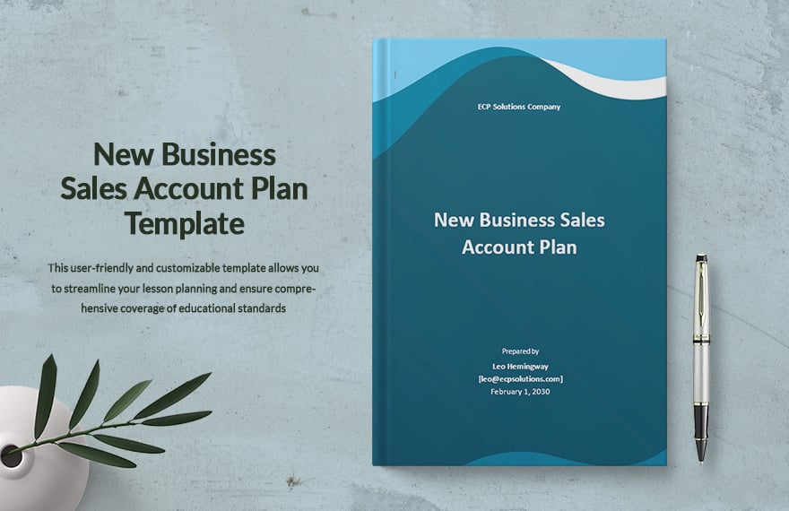 New Business Sales Account Plan Template