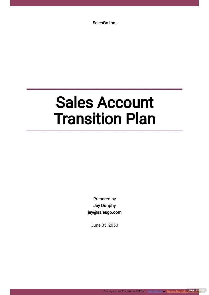 Sales Account Transition Plan Template
