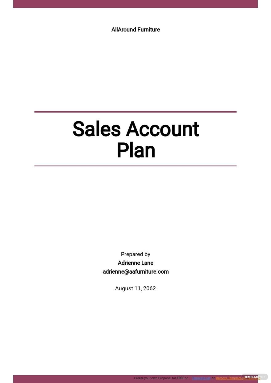 Free Sample Sales Account Plan Template 