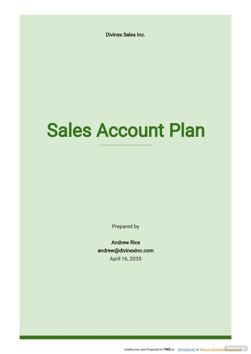 Free Basic Sales Account Plan Template