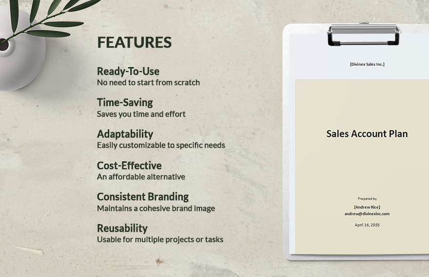 Basic Sales Account Plan Template