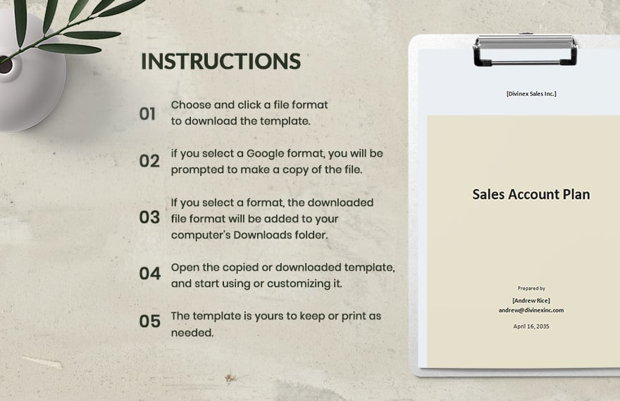 Basic Sales Account Plan Template