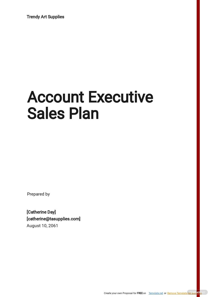 Account Executive Sales Plan Template 