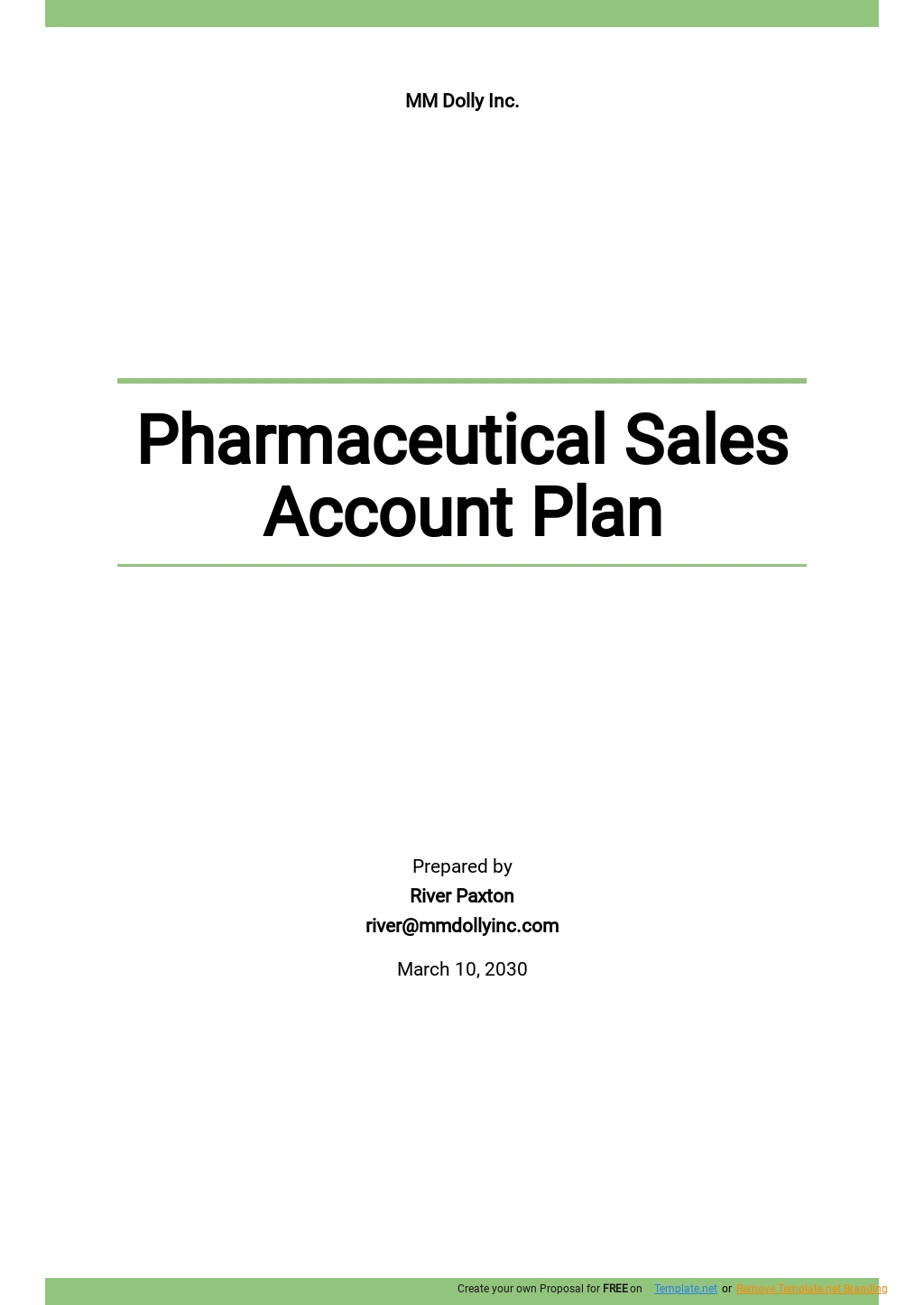 Pharmaceutical Sales Account Plan Template