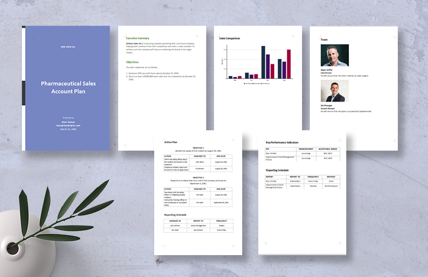 Pharmaceutical Sales Account Plan Template