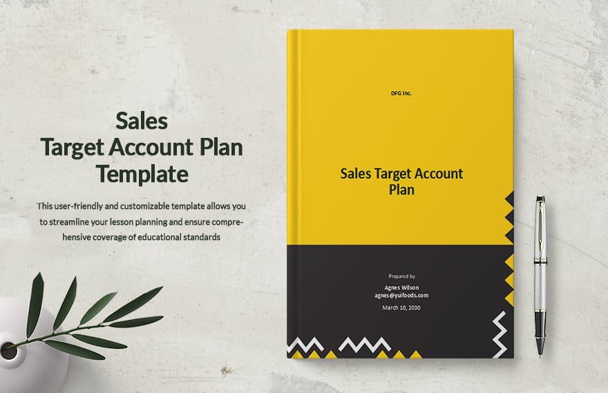 Sales Target Account Plan Template