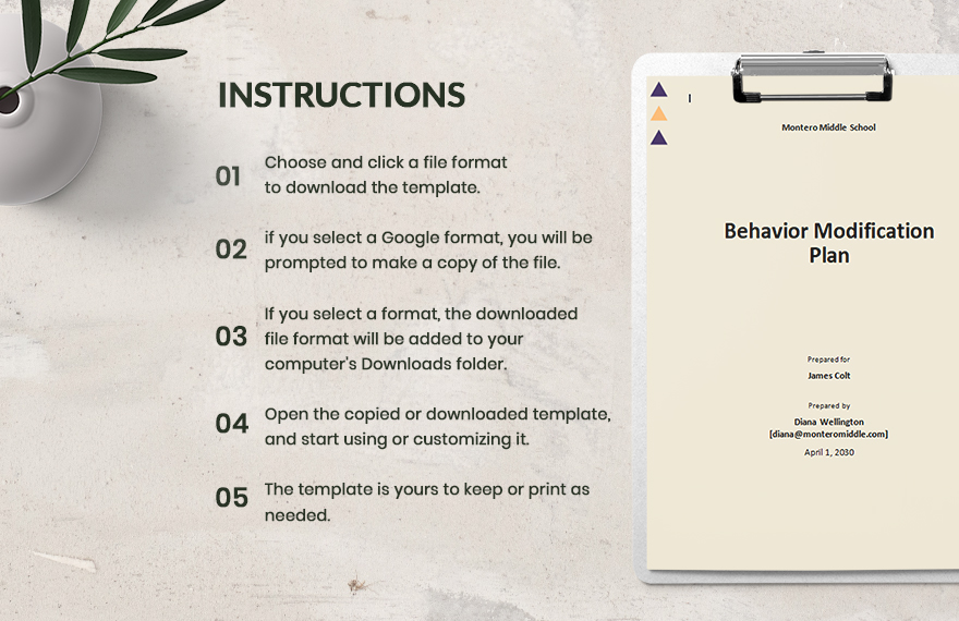 Basic Behavior Modification Plan Template