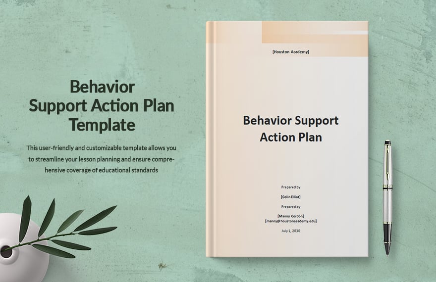 Behavior Support Action Plan Template