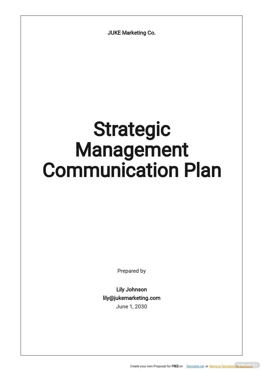 Sample Strategic Management Communication Plan Template