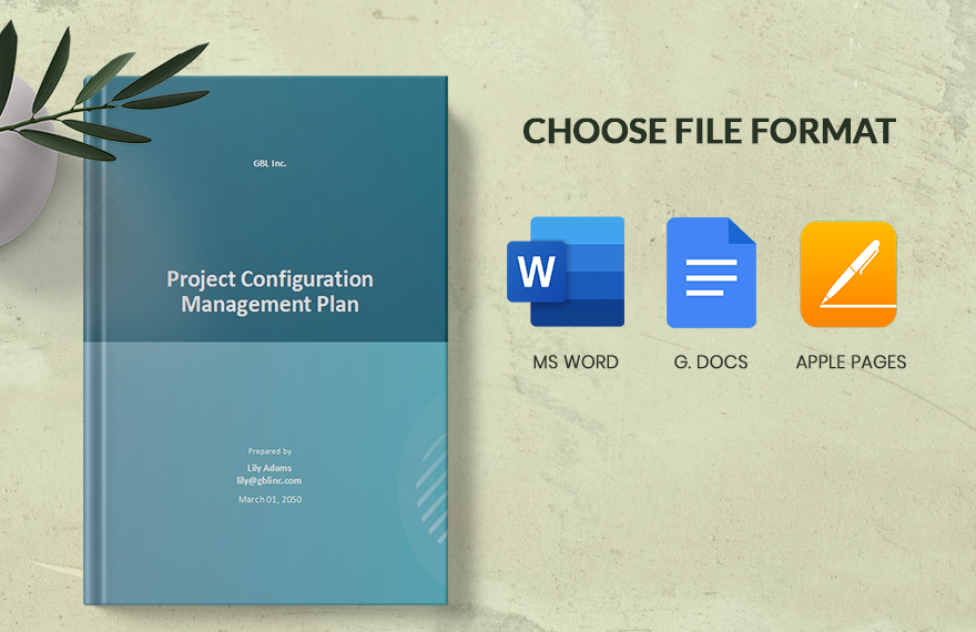 Project Configuration Management Plan Template
