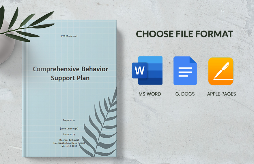 Comprehensive Behavior Support Plan Template