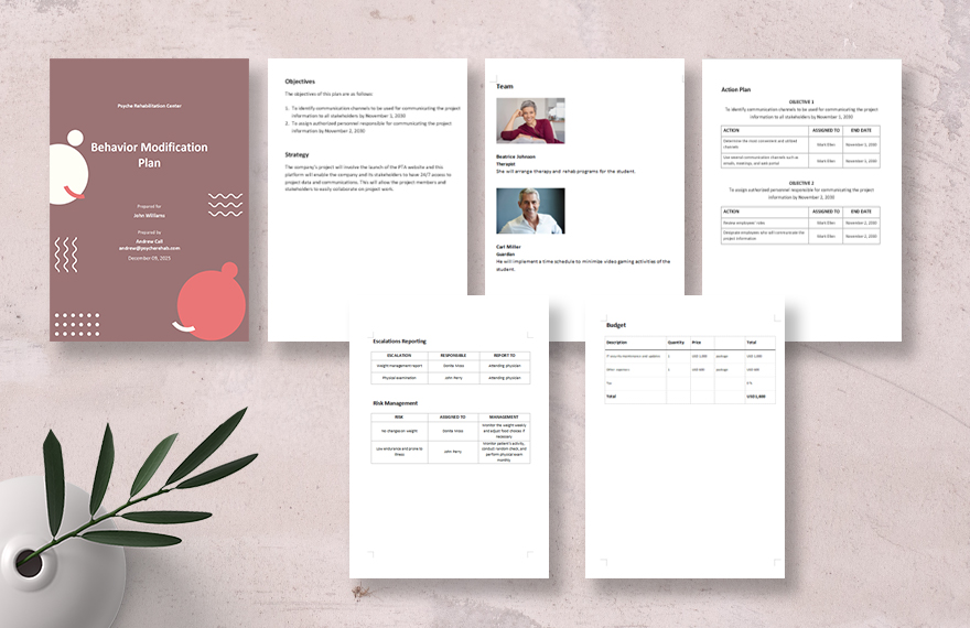 Simple Behavior Modification Plan Template