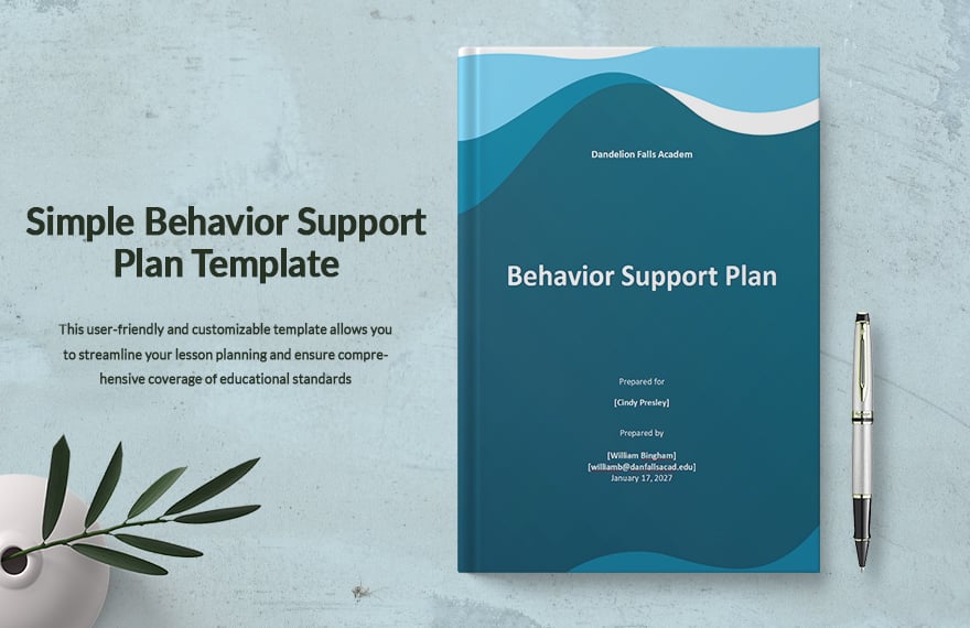 Simple Behavior Support Plan Template