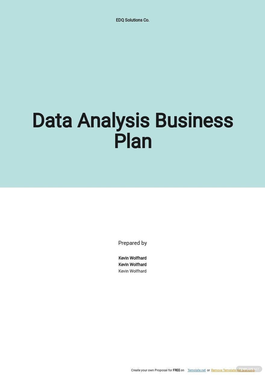 Data Analysis Business Plan Template