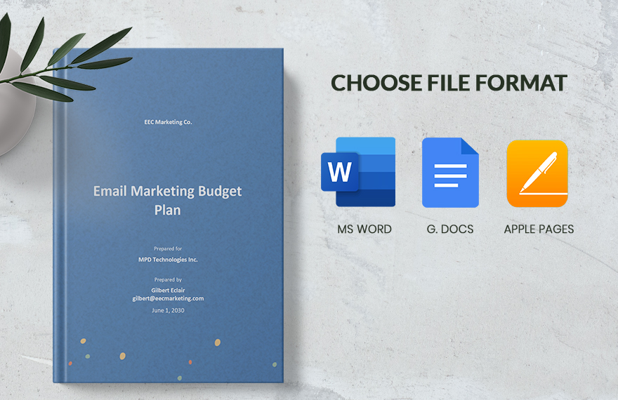 Email Marketing Budget Plan Template