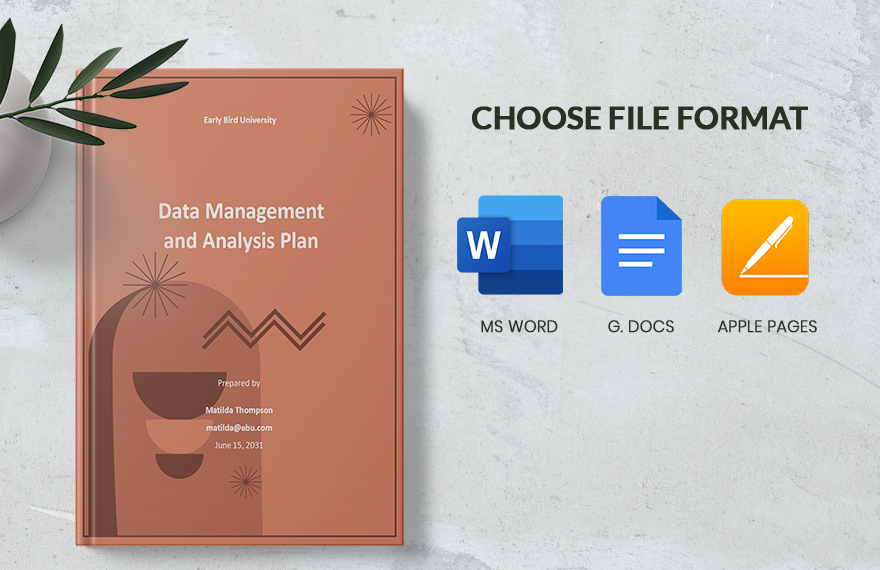 Data Management and Analysis Plan Template