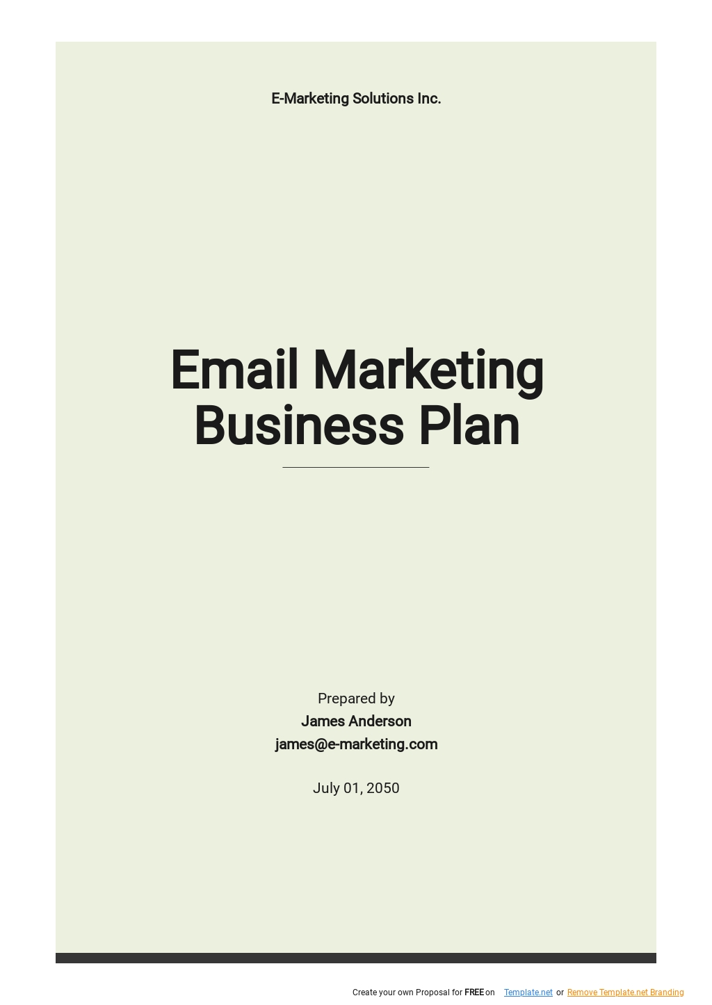 Email Marketing Business Plan Template