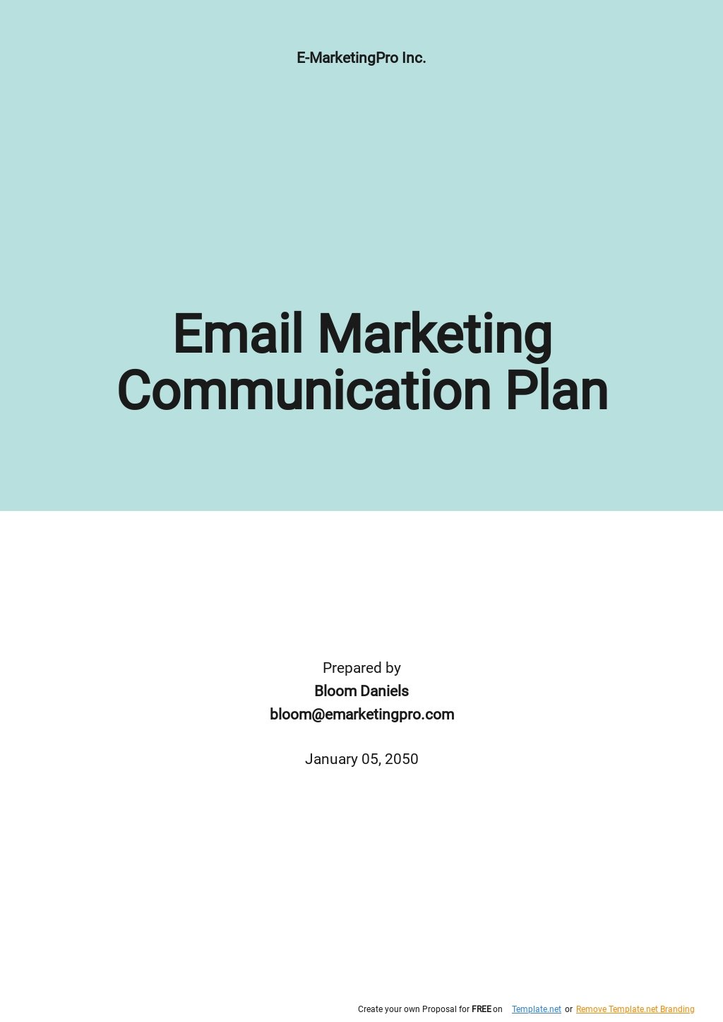Free Email Marketing Communication Plan Template