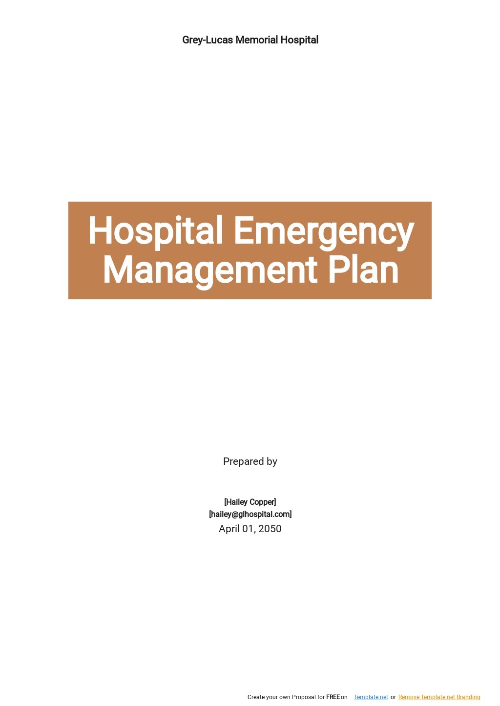 Hospital Emergency Management Plan Template.jpe
