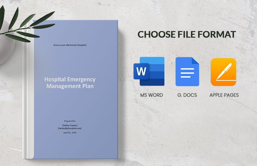 Hospital Emergency Management Plan Template
