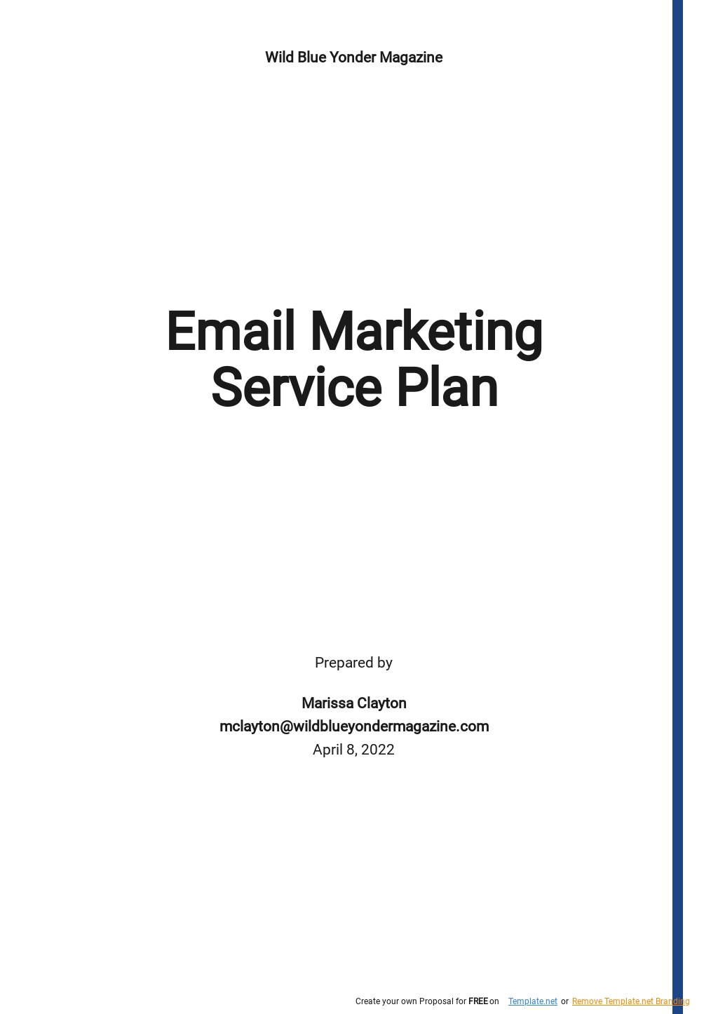 Email Marketing Service Plan Template