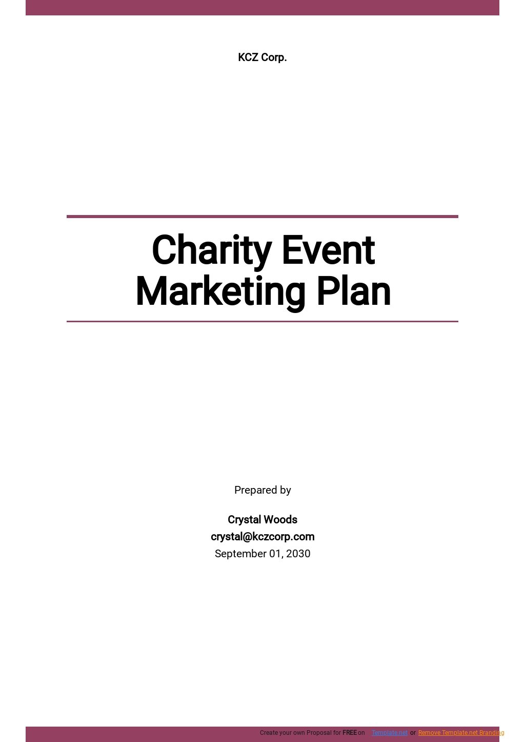 Free Sample Charity Event Marketing Plan Template