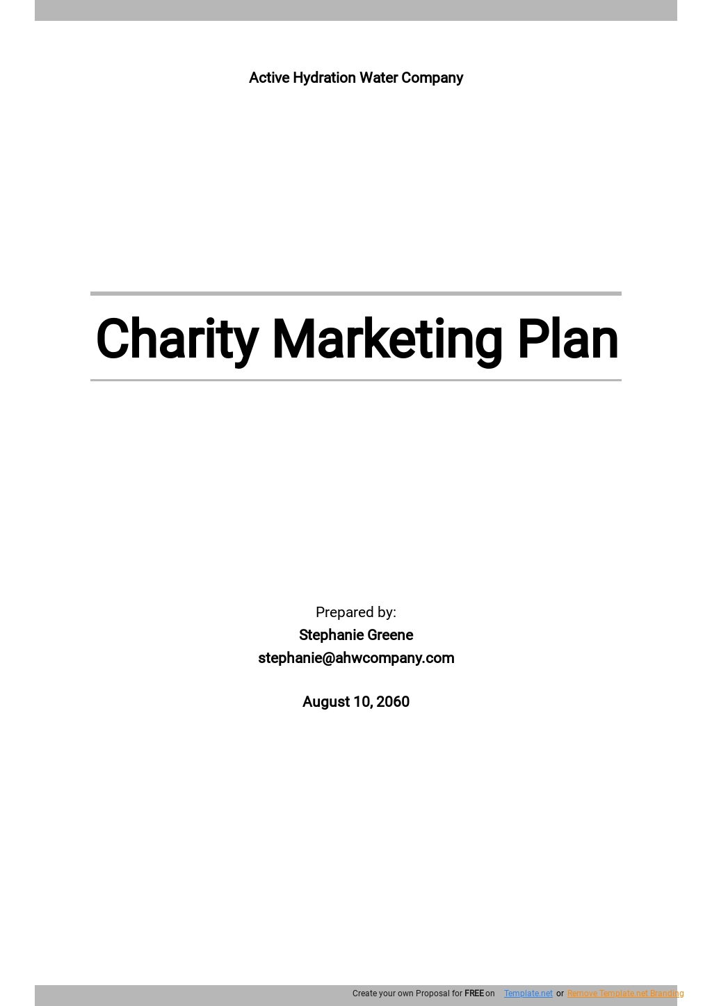 Free Simple Charity Marketing Plan Template 