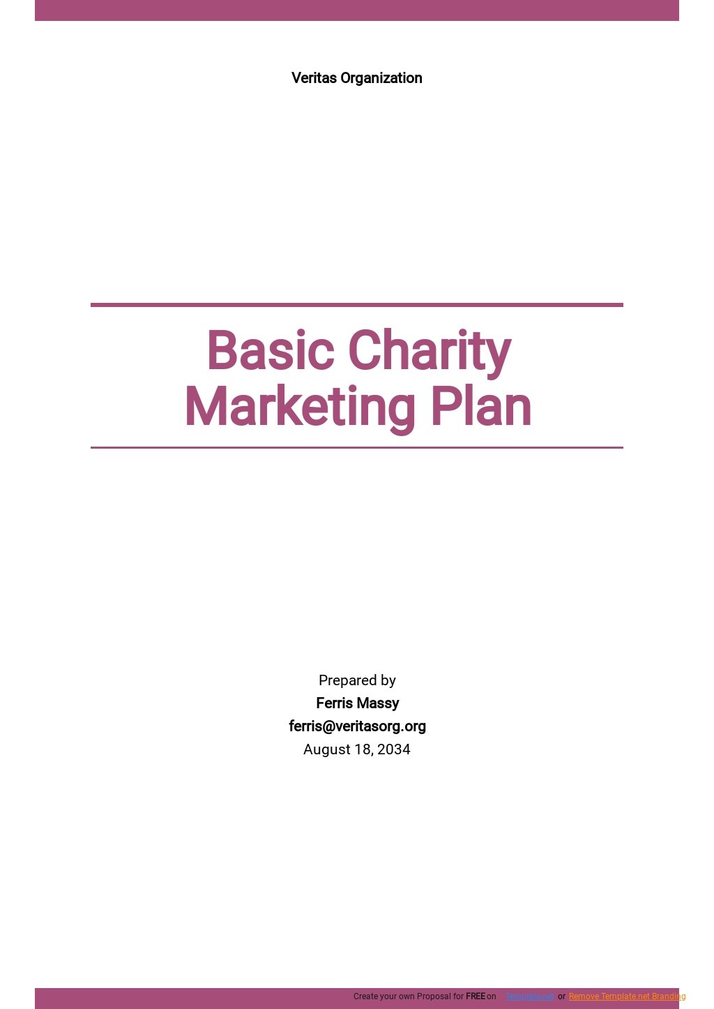 Free Basic Charity Marketing Plan Template