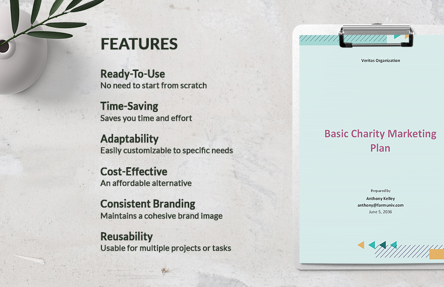 Basic Charity Marketing Plan Template