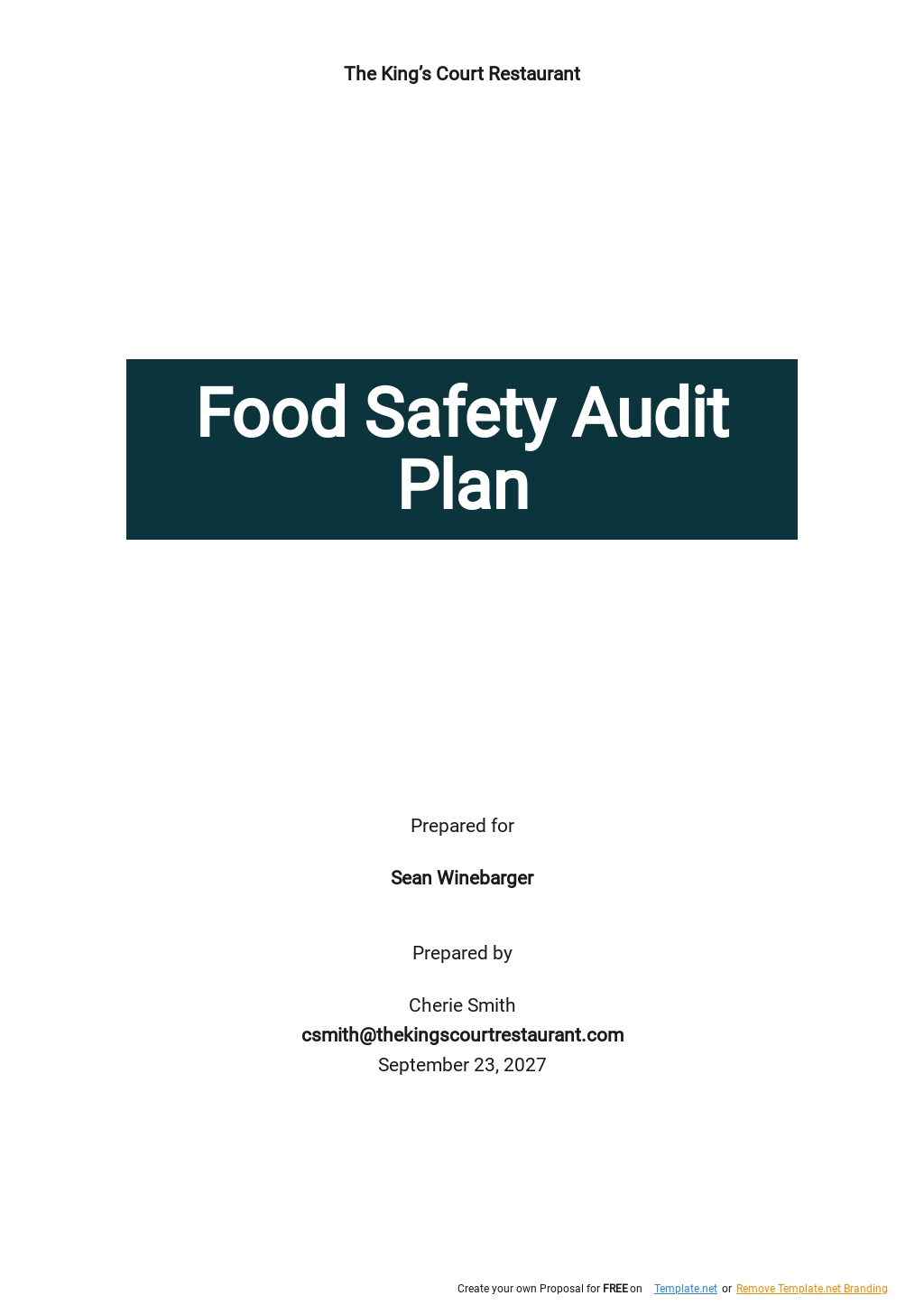Audit Templates Design Free Download Template