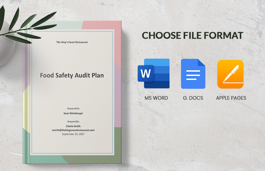 Food Safety Audit Plan Template