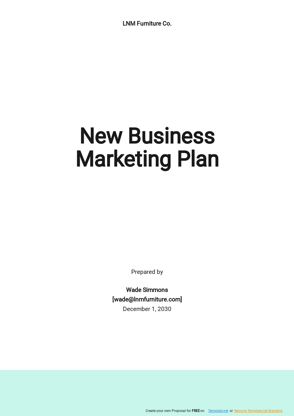 New Business Marketing Plan Template