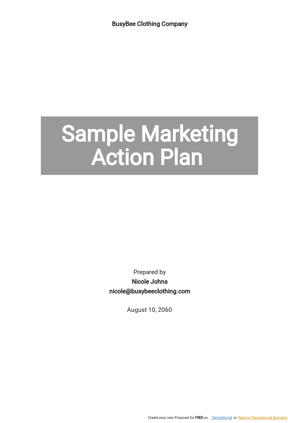 Free Sample Marketing Action Plan Template 